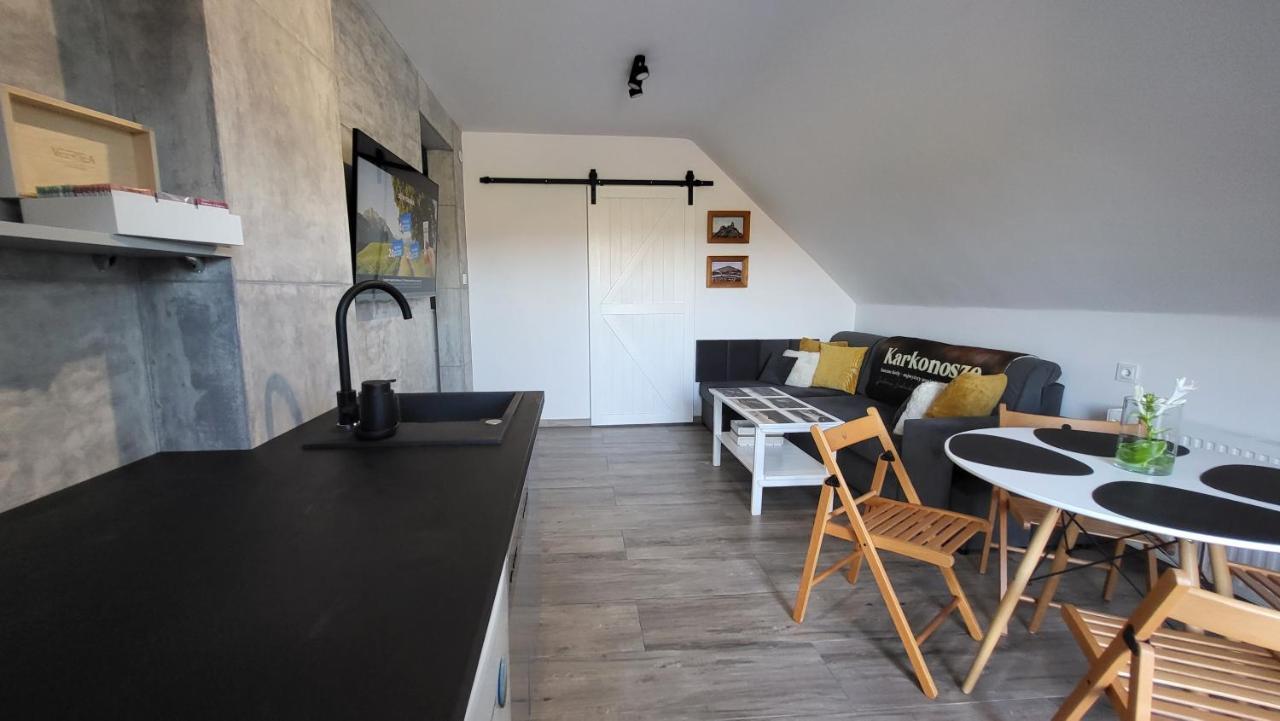 Swit - Apartament W Jezowie Sudeckim Jezow Sudecki Luaran gambar